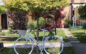 Sensory Garden